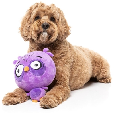 FuzzYard Toy Noggins Möt Ugglan Hoo Dini Limited Edition